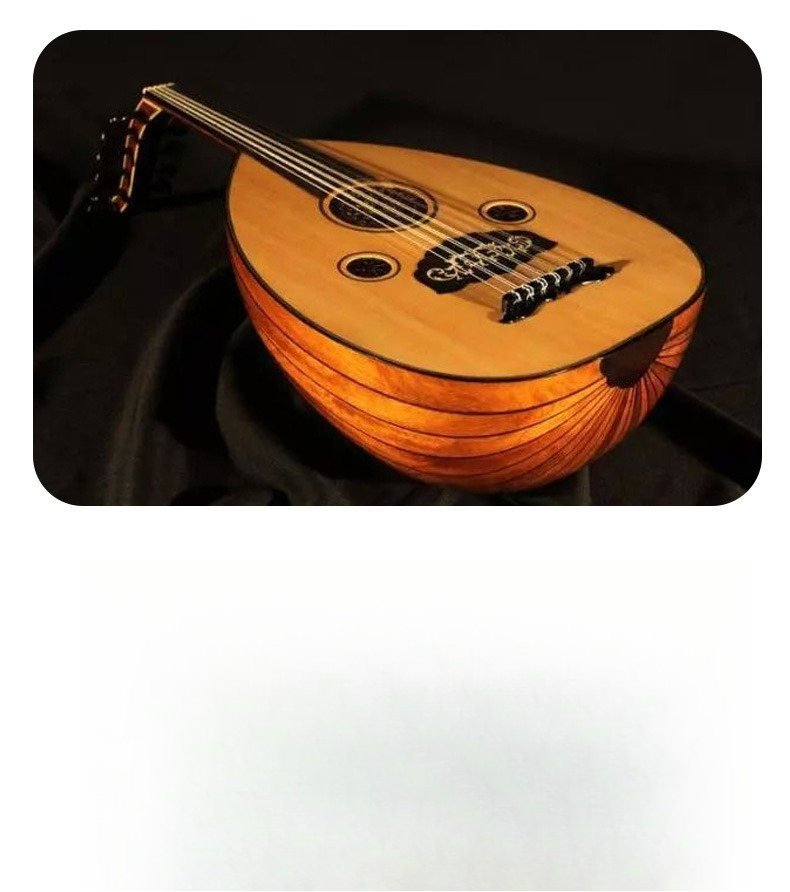 Уд — король арабских музыкальн – обзор и цена Musical Instrument Oud